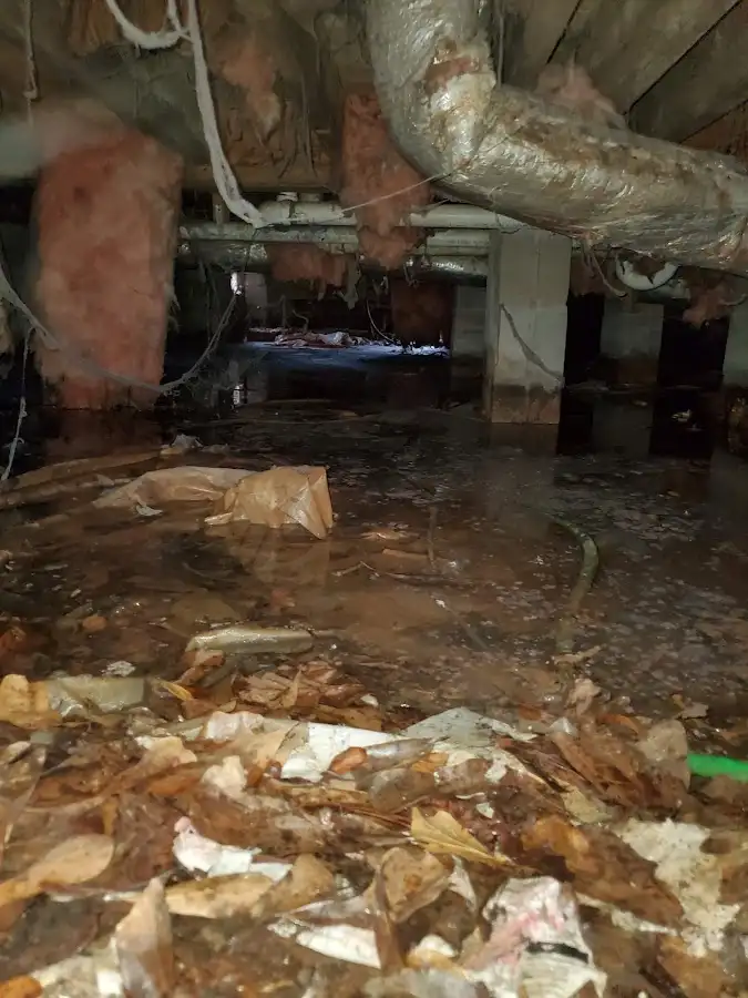 Crawl space flood assessment for Leak Detection & Repair in Fife