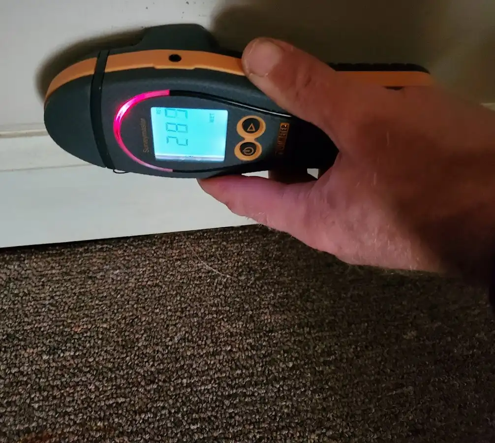 Moisture detection at baseboard during Mold Inspection & Testing in Fife